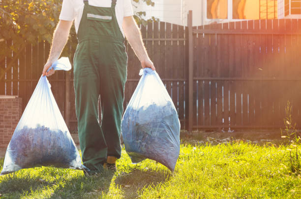 Best Electronics and E-Waste Disposal  in Morris, MN