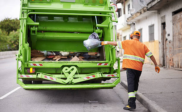 Best Shed Removal  in Morris, MN